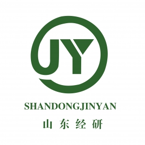 山东经研技术咨询有限公司